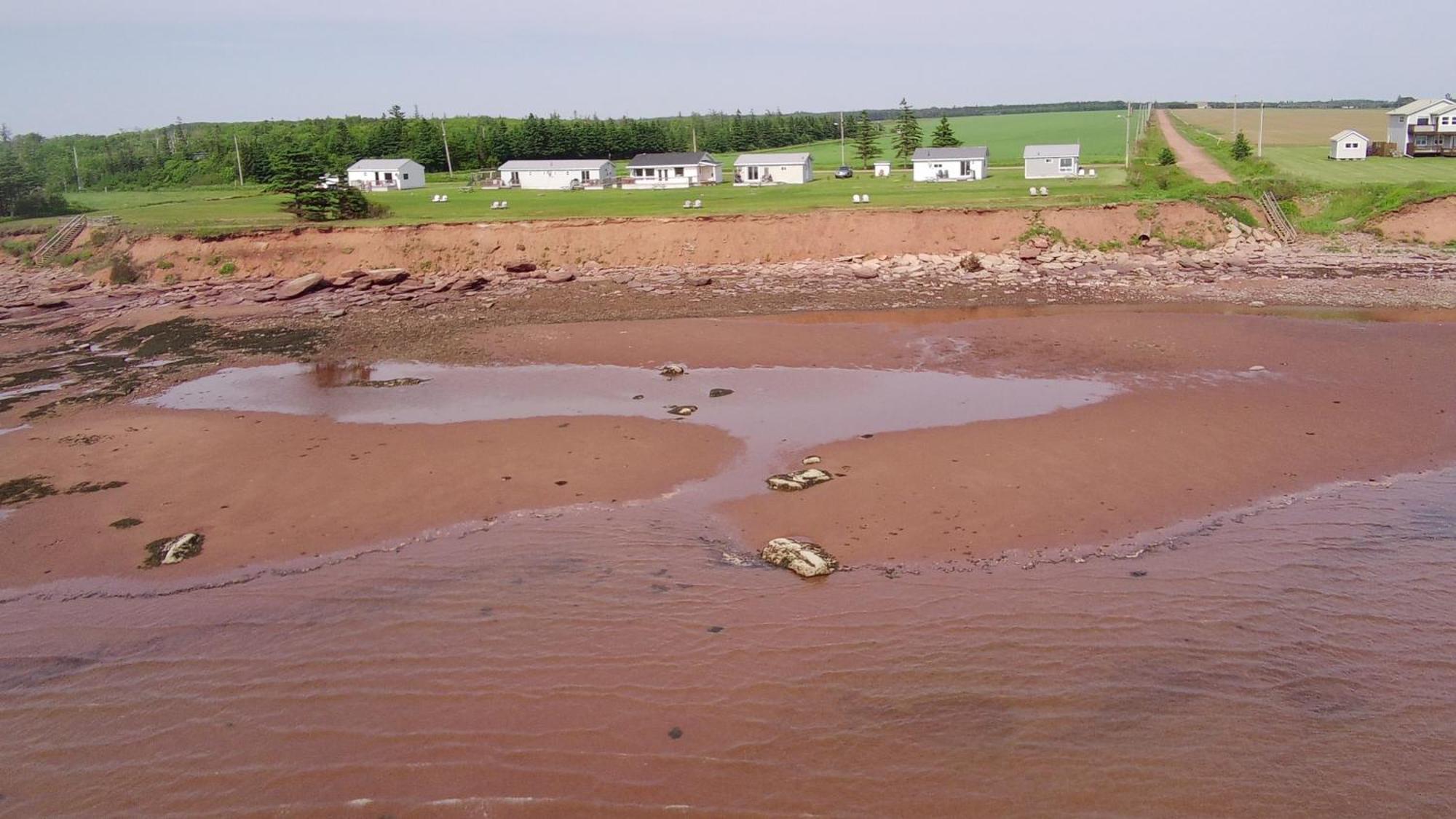 Cottages On Pei-Oceanfront Bedeque Esterno foto